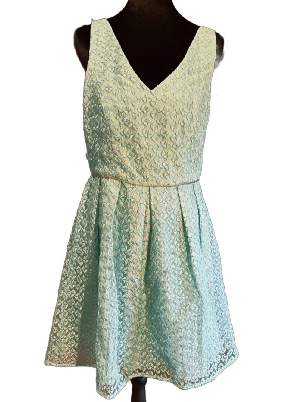 NWT Minuet Mint Embroidered Fit and Flare Midi Dress